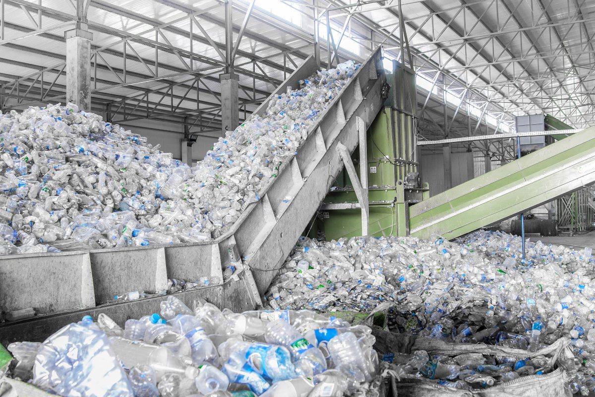 PET bottles waste in a recycling facility