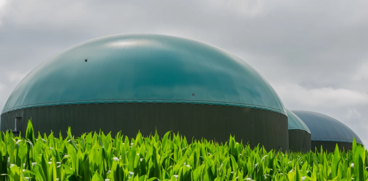 The dome of a biogas fermenter, in an agricultural setting